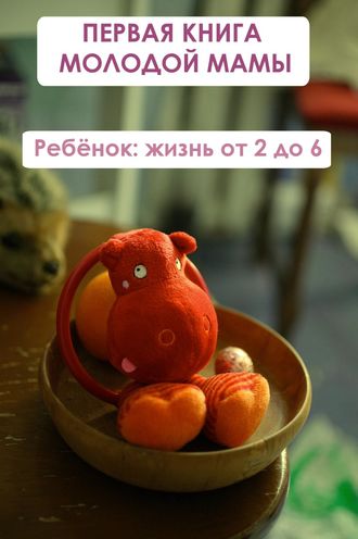 И. В. Мельников. Ребёнок: жизнь от двух до 6