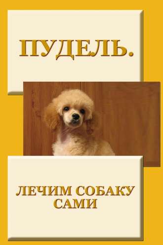 И. В. Мельников. Пудель. Лечим собаку сами