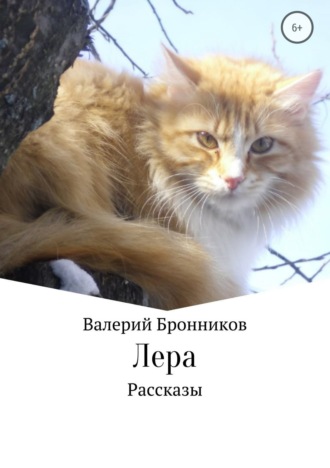 Валерий Бронников. Лера. Сборник рассказов