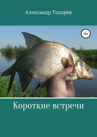 Александр Владимирович Токарев. Короткие встречи