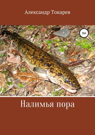 . Налимья пора