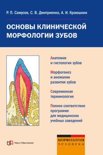 . Основы клинической морфологии зубов: учебное пособие