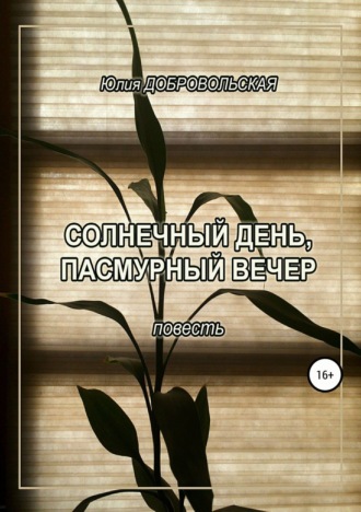 . Солнечный день, пасмурный вечер