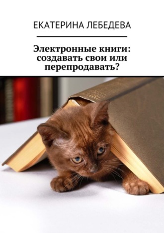 . Электронные книги: создавать свои или перепродавать?