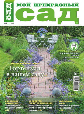 . Мой прекрасный сад №06/2018