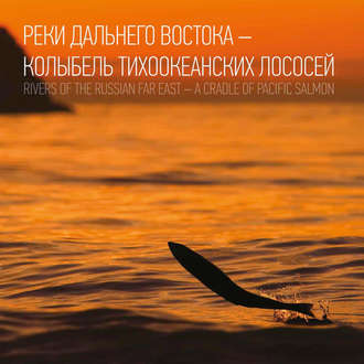 . Реки Дальнего Востока – колыбель тихоокеанских лососей
