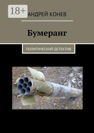 . Бумеранг. Политический детектив