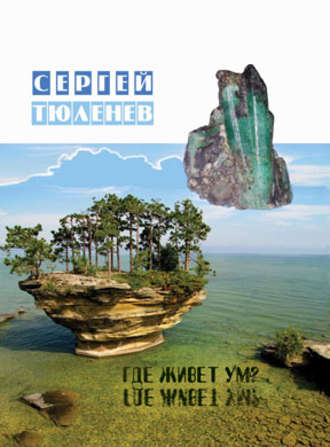 Сергей Тюленев. Где живет ум