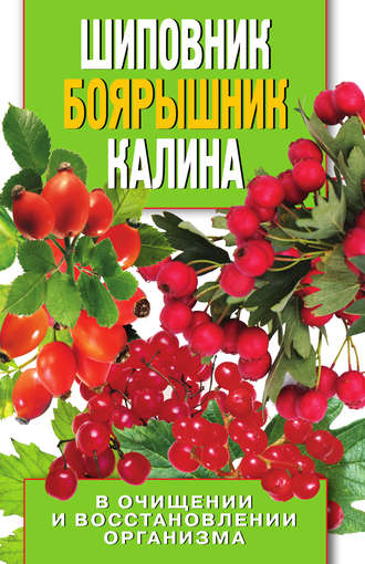 . Шиповник, боярышник, калина в очищении и восстановлении организма