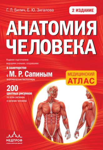 . Анатомия человека