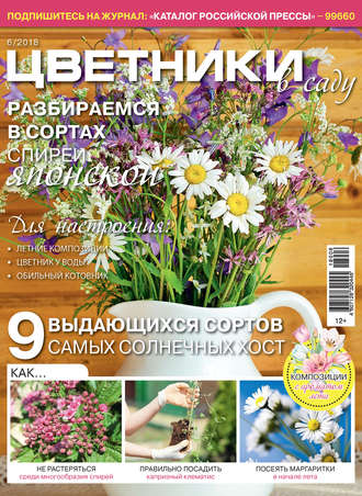 . Цветники в саду №6/2018