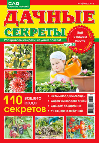 . Сад своими руками. Дачные секреты №6/2018