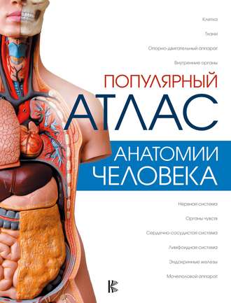 . Популярный атлас анатомии человека