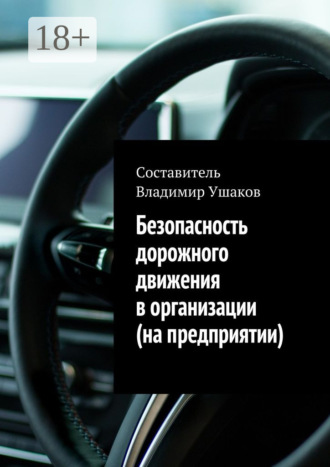 . Безопасность дорожного движения в организации (на предприятии)