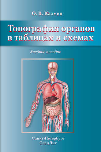. Топография органов в таблицах и схемах. Учебное пособие