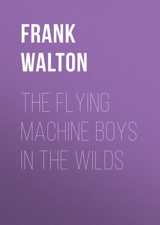 . The Flying Machine Boys in the Wilds