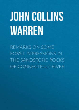 . Remarks on some fossil impressions in the sandstone rocks of Connecticut River