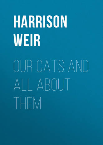 . Our Cats and All About Them