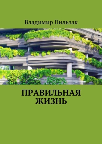 Владимир Пильзак. Правильная жизнь