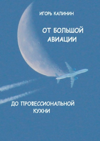 . От большой авиации до профессиональной кухни