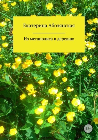 . Из мегаполиса в деревню