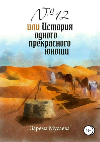 . № 12, или История одного прекрасного юноши