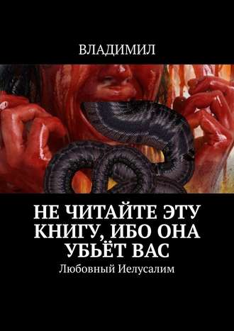 Владимил. Не читайте эту книгу, ибо она убьёт вас. Любовный Иелусалим