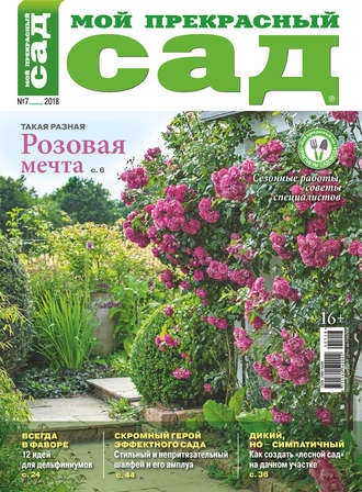 . Мой прекрасный сад №07/2018