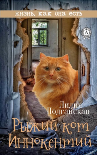 . Рыжий кот Иннокентий
