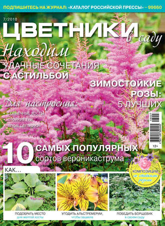 . Цветники в саду №07/2018