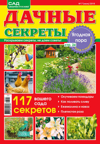 . Сад своими руками. Дачные секреты №7/2018