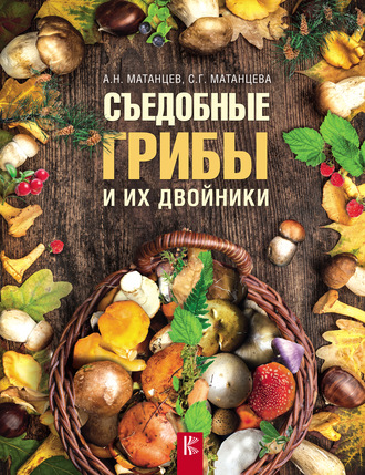 . Съедобные грибы и их двойники