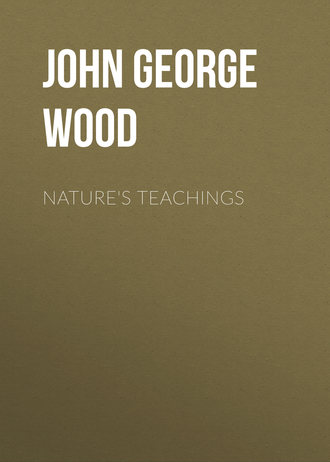. Nature's Teachings