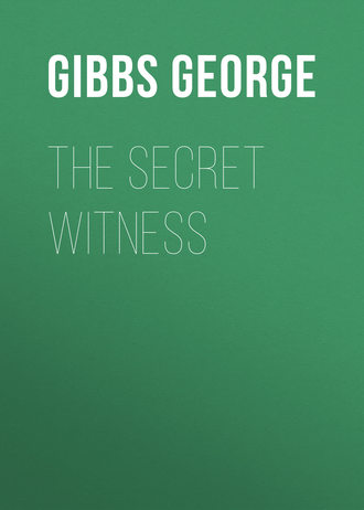 . The Secret Witness