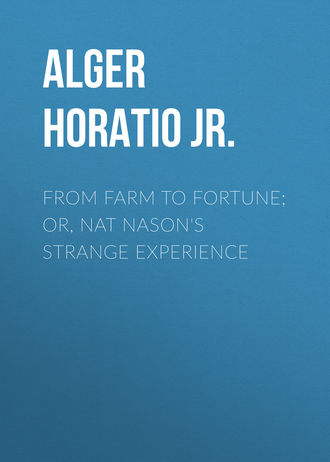 . From Farm to Fortune; or, Nat Nason's Strange Experience