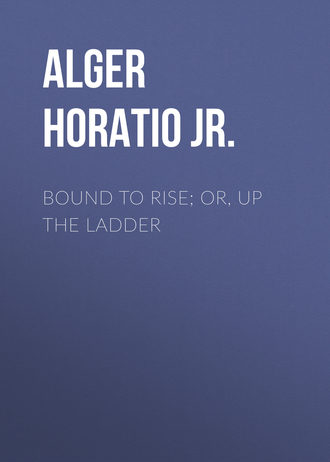 . Bound to Rise; Or, Up the Ladder