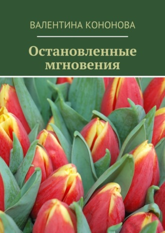 . Остановленные мгновения