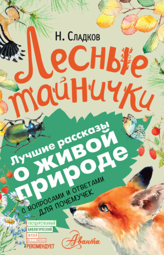 . Лесные тайнички. С вопросами и ответами для почемучек