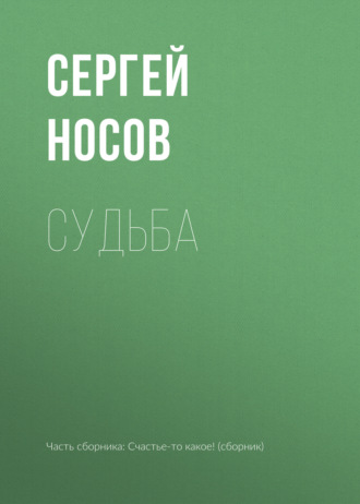 Сергей Носов. Судьба