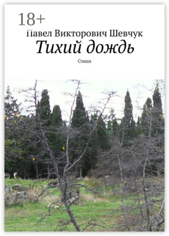 . Тихий дождь. Стихи