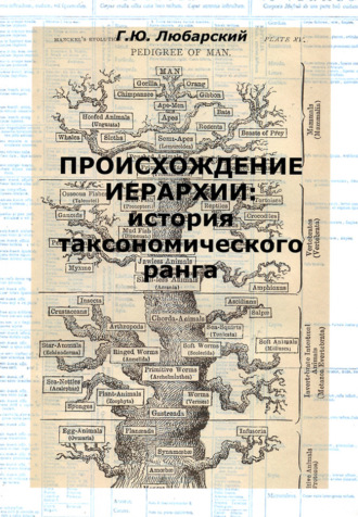 Г. Ю. Любарский. Происхождение иерархии: история таксономического ранга