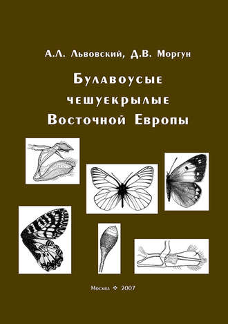 Д. В. Моргун. Булавоусые чешуекрылые Восточной Европы