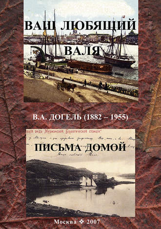 . Ваш любящий Валя. В. А. Догель (1882–1955). Письма домой