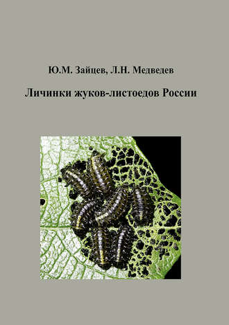 . Личинки жуков-листоедов России