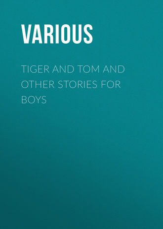 . Tiger and Tom and Other Stories for Boys
