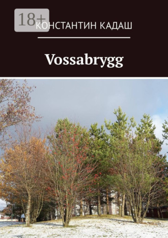 . Vossabrygg
