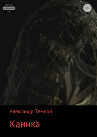 Александр Валерьевич Темной. Каника