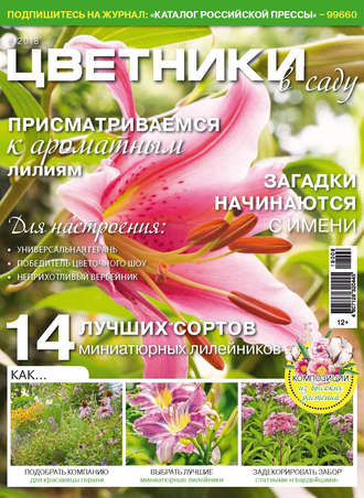 . Цветники в саду №8/2018
