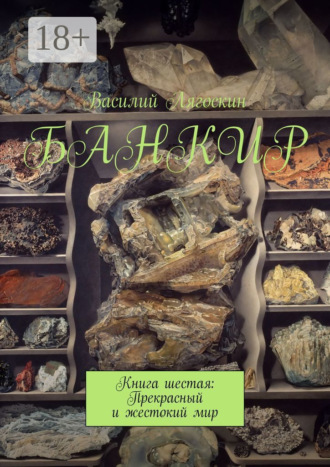 Василий Лягоскин. Банкир. Книга шестая: Прекрасный и жестокий мир