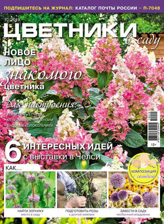 . Цветники в саду №10/2019